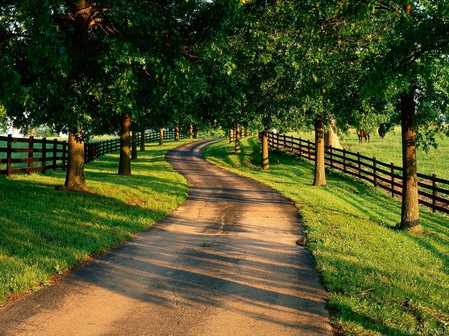 充值网站便宜的手机号呼叫软件